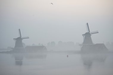 Zaanse Schans'a Hollanda yel değirmenleri