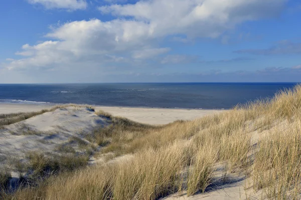 Spiaggia e dune Terschelling — Foto Stock