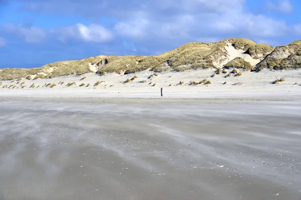 Plaj ve dunes Terschelling — Stok fotoğraf