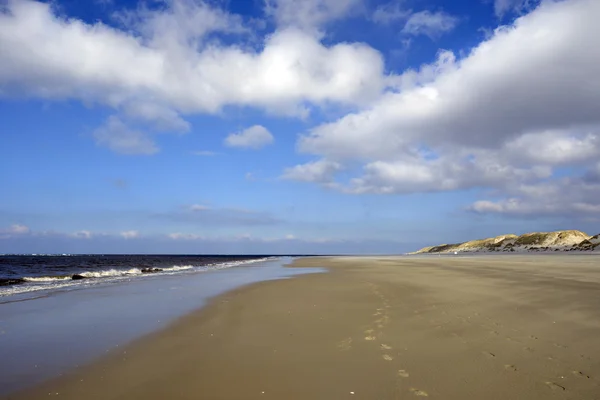 Playa y dunas Terschelling — Foto de Stock