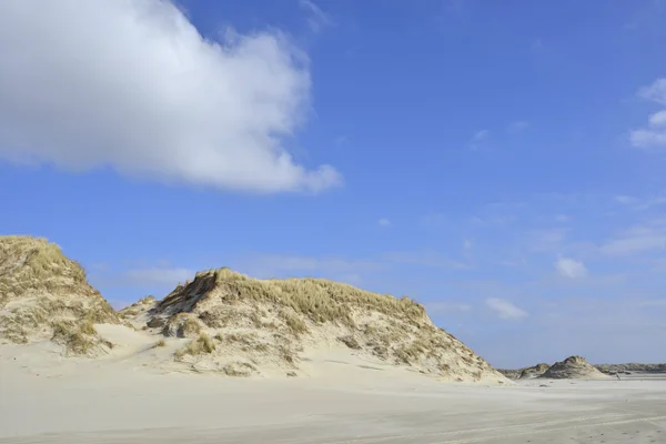 Пляж і дюн Terschelling — стокове фото
