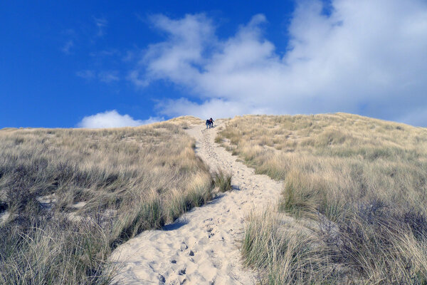 beach and dunes Terschelling