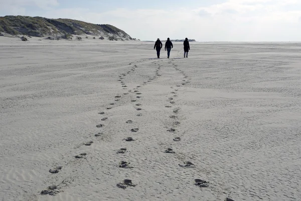 Három ember gyalog a strandtól Terschelling — Stock Fotó