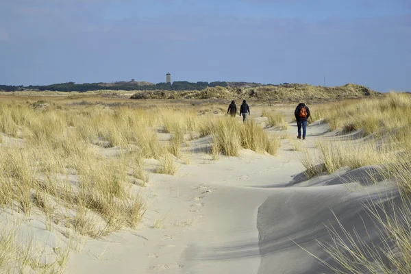Praia e dunas Terschelling — Fotografia de Stock