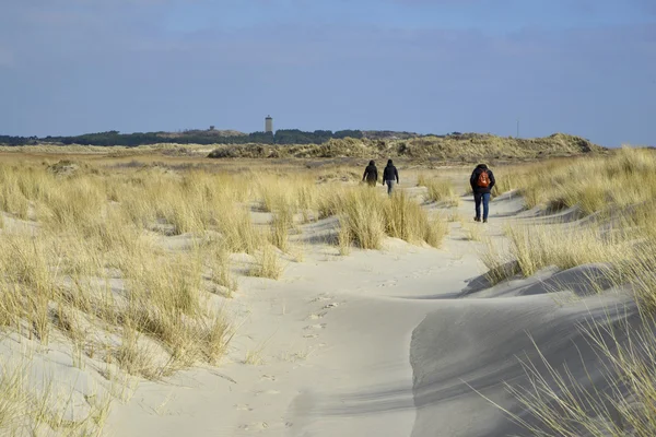 Пляж і дюн Terschelling — стокове фото