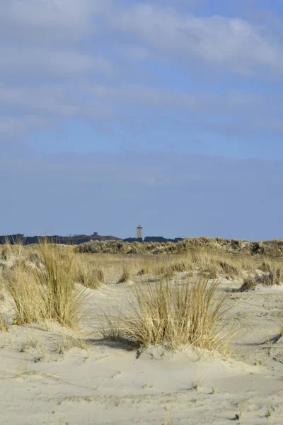 Strand und Dünen terschelling — Stockfoto