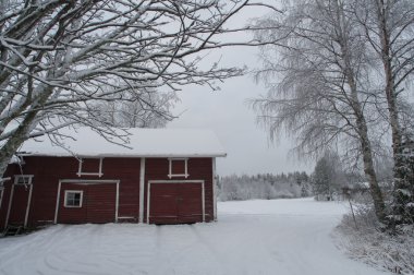 kırmızı kar ahırda