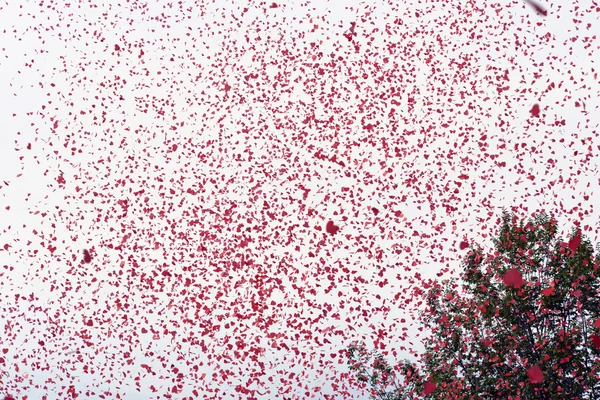 Gaypride 2014 Amsterdam