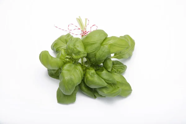 Herb — Stock Photo, Image