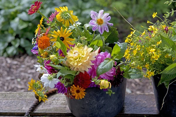 Garden bouquet — Stock Photo, Image