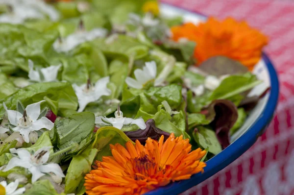 Salad with eatable flowers — Stock Photo, Image