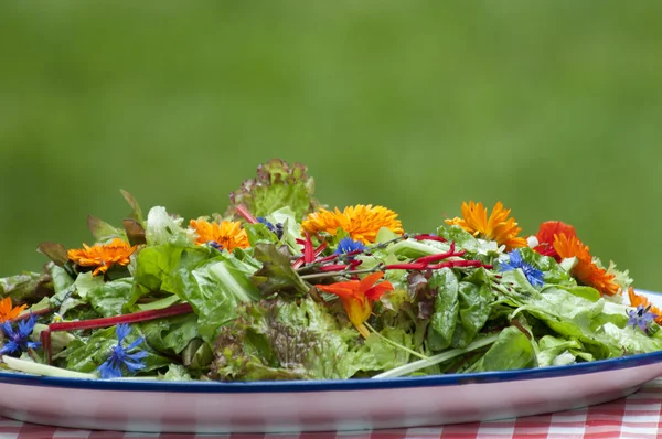 Slaatje met eetbare bloemen — Stockfoto