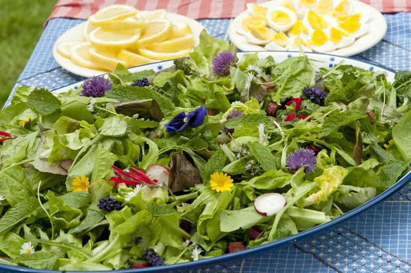 Салат с вкусными цветами — стоковое фото