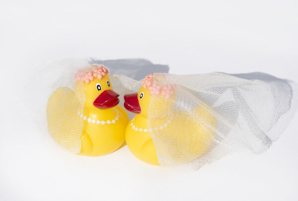 Gay wedding rubber duckies