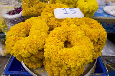 Kadife çiçeği taç teklif