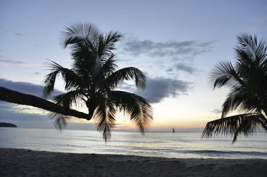 Tayland Cennet Adası