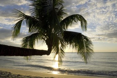 Tayland Cennet Adası