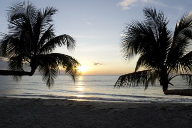 Tayland Cennet Adası