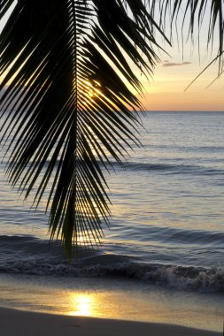 Tayland Cennet Adası