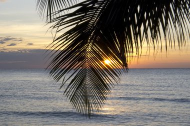 Tayland Cennet Adası