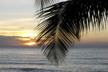 Tayland Cennet Adası