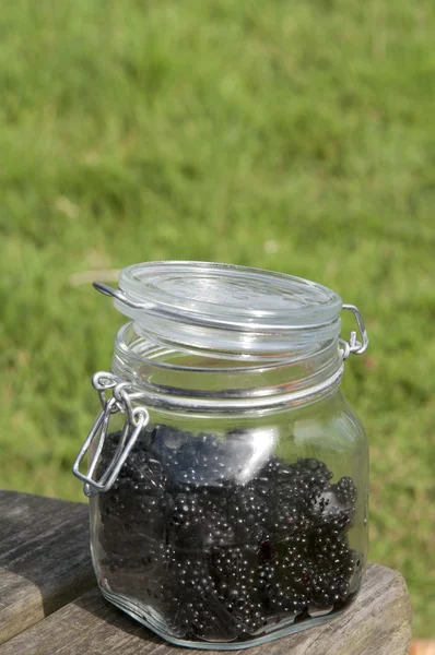 Blackberries в стеклянной банке — стоковое фото