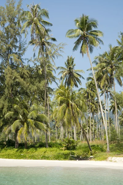 Thailandia paradiso Isola — Foto Stock