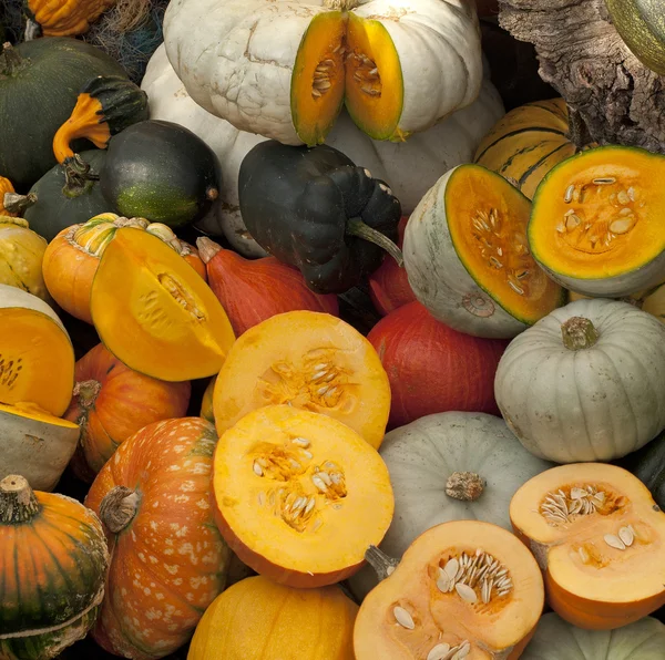 Calabaza — Foto de Stock