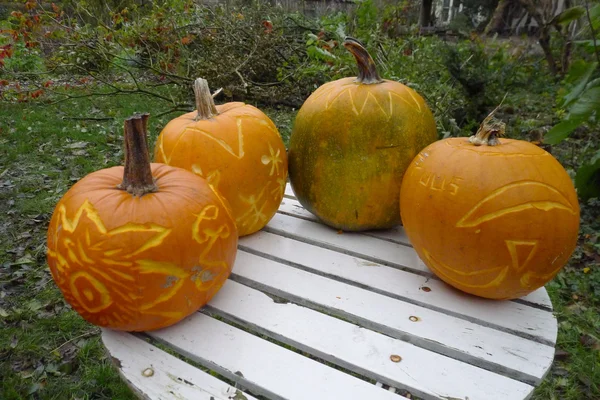 Pumpkin — Stock Photo, Image