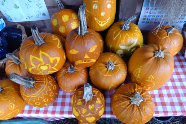 Pumpkin — Stock Photo, Image