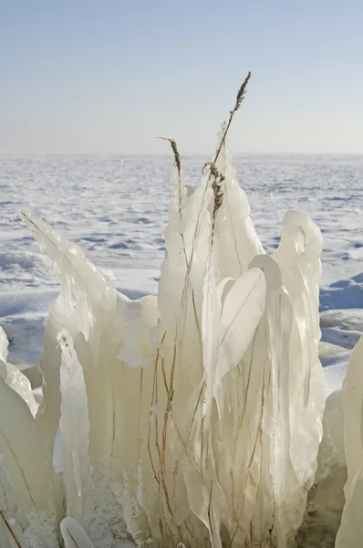 Ice and snow in cold winter — Stock Photo, Image