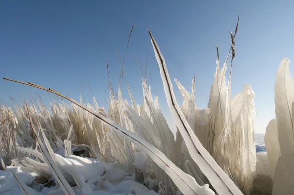 Ice and snow in cold winter — Stock Photo, Image