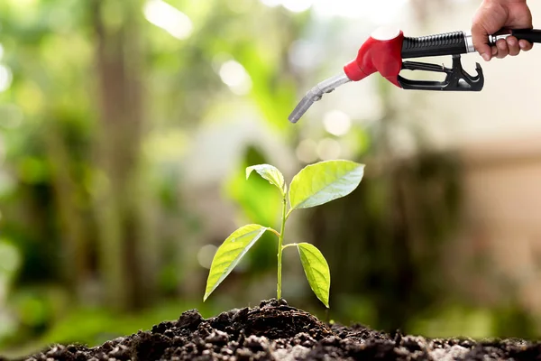 Environment concept saving hand holding fuel nozzle over new lif — Stock Photo, Image