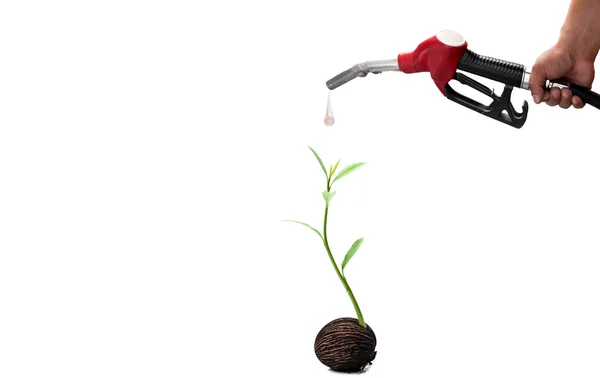 Environment concept hand holding fuel nozzle and new life plant — Stock Photo, Image