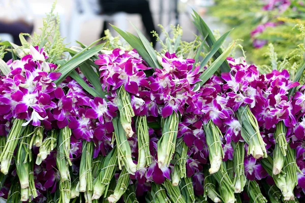 Pilha de flores de orquídea roxa exibir no mercado de flores — Fotografia de Stock