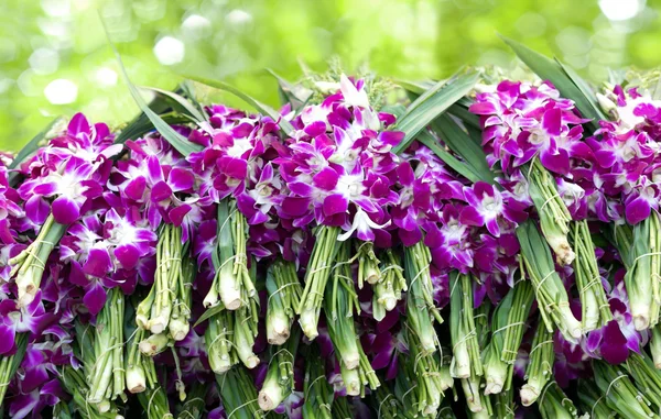 Pile of purple  orchid flowers display at flower market — Stock Photo, Image