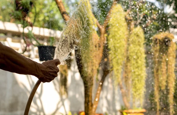 Giardiniere impianto di irrigazione in giardino — Foto Stock