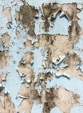 Beton duvara soyulması renk boya 