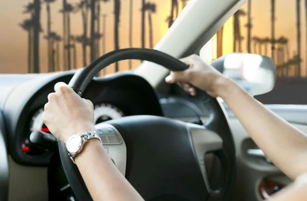 Vrouw is handen op het stuur van de auto — Stockfoto