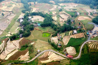 Soft focus rice terrace field from Cable car Fansipan mountain  clipart