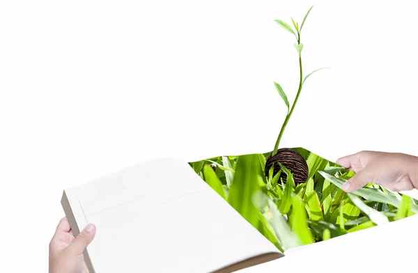 Environment concept hand with book and new life plant isolated — Stock Photo, Image
