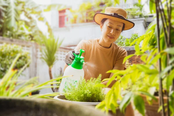 Hermosa asiático mujer en sombrero riego planta por niebla spray botella en jardín. — Foto de Stock
