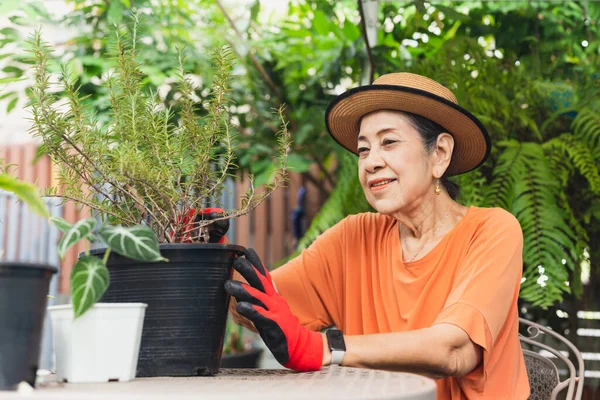 Feliz sonriente mujer en jardín corte romero para su próxima comida. — Foto de Stock