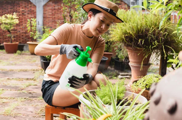 Hermosa mujer asiática en sombrero riego planta por nebulosa botella de spray en el jardín. exterior — Foto de Stock