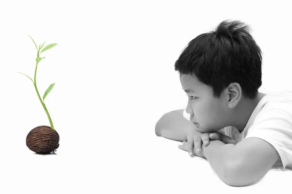 Children wondering of a new life plant — Stock Photo, Image