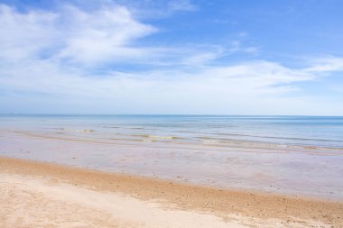 plaj ve tropikal deniz