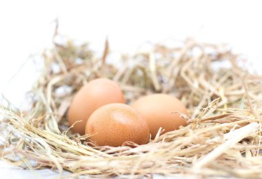 Mikrofon ve kulaklık