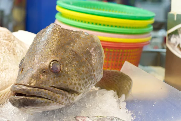 Fish Head in the  Market — Stock Photo, Image