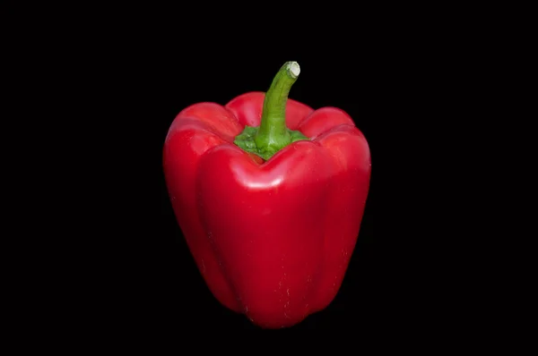 Rode paprika — Stockfoto