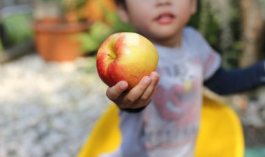 Littel çocuk onun bit Kırmızı elma gösterilen